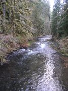 Silver Falls 12.10.05 069 